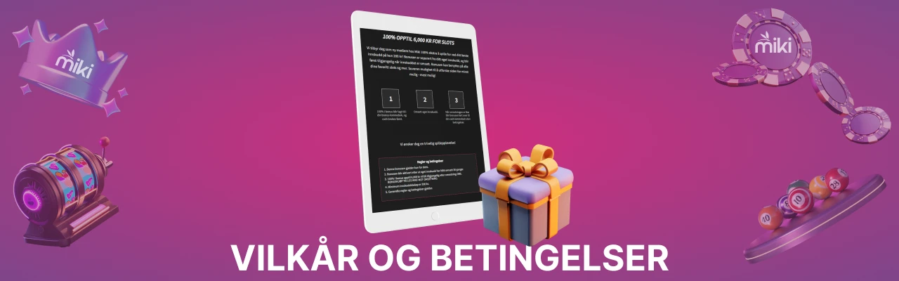 Vilkår og betingelser